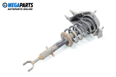 Macpherson shock absorber for Audi A8 Sedan 4D (03.1994 - 12.2002), sedan, position: front - left