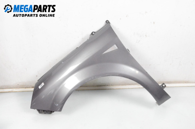 Fender for Renault Scenic II Minivan (06.2003 - 07.2010), 5 doors, minivan, position: front - left