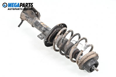 Macpherson shock absorber for Fiat Stilo Hatchback (10.2001 - 11.2010), hatchback, position: front - right