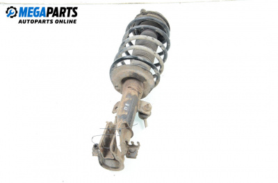 Macpherson shock absorber for Fiat Stilo Hatchback (10.2001 - 11.2010), hatchback, position: front - left