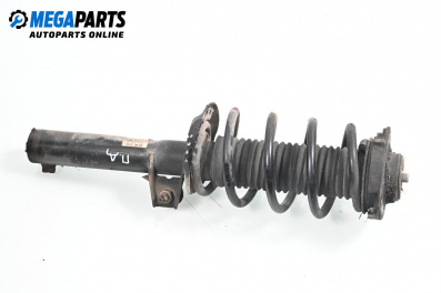 Macpherson shock absorber for Seat Toledo III Van (04.2004 - 05.2009), minivan, position: front - right