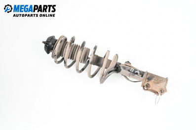 Macpherson shock absorber for Chevrolet Kalos Hatchback (03.2005 - ...), hatchback, position: rear - left