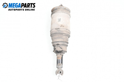 Amortizor pneumatic for Land Rover Discovery III SUV (07.2004 - 09.2009), suv, position: stânga - spate