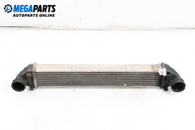 Intercooler for Mercedes-Benz B-Class Hatchback I (03.2005 - 11.2011) B 200 CDI (245.208), 140 hp