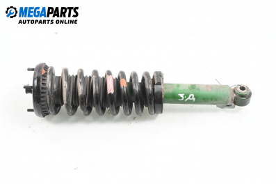 Macpherson shock absorber for Jaguar S-Type Sedan (01.1999 - 11.2009), sedan, position: rear - right