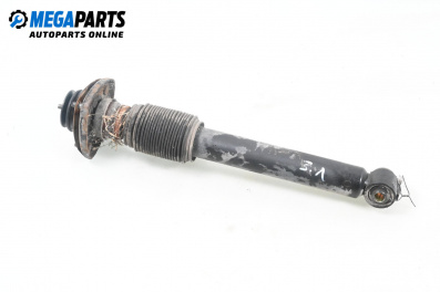 Shock absorber for BMW X5 Series E53 (05.2000 - 12.2006), suv, position: rear - left