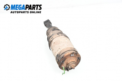 Amortizor pneumatic for Land Rover Range Rover Sport I (02.2005 - 03.2013), suv, position: stânga - spate