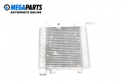 Intercooler for Hyundai Santa Fe II SUV (10.2005 - 12.2012) 2.2 CRDi 4x4, 155 hp