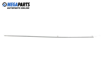 Türleiste for BMW 7 Series F01 (02.2008 - 12.2015), sedan, position: links, rückseite