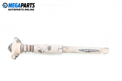 Amortizor for Volkswagen Passat V Variant B6 (08.2005 - 11.2011), combi, position: dreaptă - spate