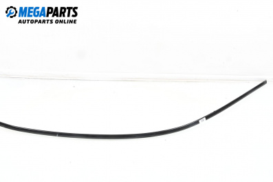 Leiste dachhimmel for BMW 7 Series F01 (02.2008 - 12.2015), sedan, position: links