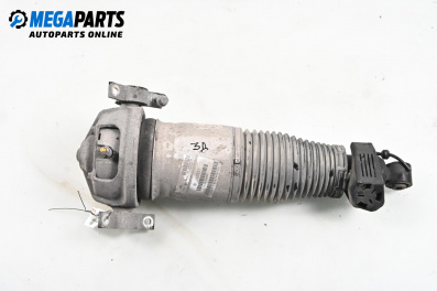 Amortizor pneumatic for Audi Q7 SUV I (03.2006 - 01.2016), suv, position: dreaptă - spate