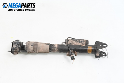 Shock absorber for Mercedes-Benz R-Class Minivan (W251, V251) (08.2005 - 10.2017), minivan, position: rear - left