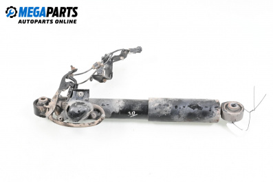 Amortizor for Lexus RX SUV IV (10.2015 - ...), suv, position: dreaptă - spate