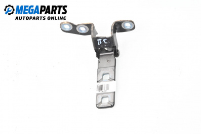 Balama portbagaj for BMW X5 Series E70 (02.2006 - 06.2013), 5 uși, suv, position: dreapta