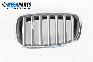 Grill for BMW X5 Series E70 (02.2006 - 06.2013), suv, position: left