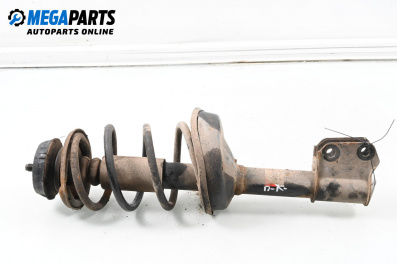 Macpherson shock absorber for Renault Kangoo Van (08.1997 - 02.2008), minivan, position: front - left