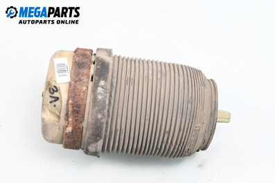 Pernă aer suspensie for Audi A6 Avant C6 (03.2005 - 08.2011), combi