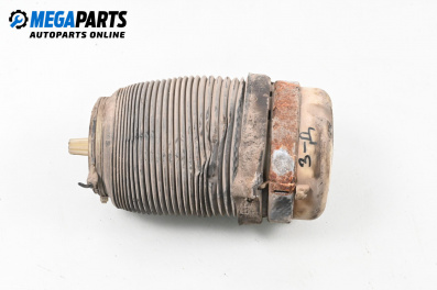 Pernă aer suspensie for Audi A6 Avant C6 (03.2005 - 08.2011), combi