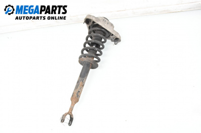 Macpherson shock absorber for Audi A6 Sedan C6 (05.2004 - 03.2011), sedan, position: front - left