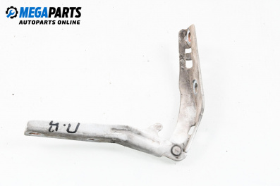 Balama capotă for Peugeot 206 Hatchback (08.1998 - 12.2012), 5 uși, hatchback, position: dreapta