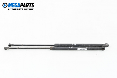 Stoßdämpfer heckklappe for Seat Ibiza III Hatchback (02.2002 - 11.2009)