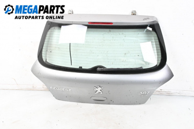 Capac spate for Peugeot 307 Hatchback (08.2000 - 12.2012), 5 uși, hatchback, position: din spate