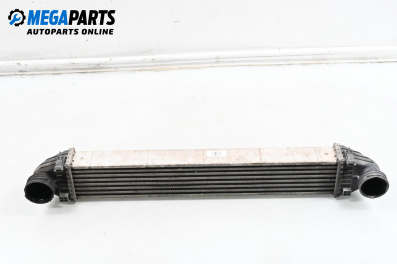 Intercooler for Mercedes-Benz A-Class Hatchback W169 (09.2004 - 06.2012) A 180 CDI (169.007, 169.307), 109 hp