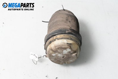 Pernă aer suspensie for Audi A6 Allroad C6 (05.2006 - 08.2011), combi