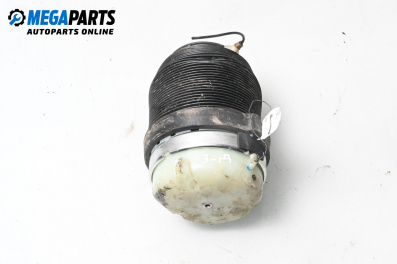 Pernă aer suspensie for Audi A6 Allroad C6 (05.2006 - 08.2011), combi