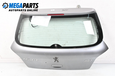 Capac spate for Peugeot 307 Hatchback (08.2000 - 12.2012), 5 uși, hatchback, position: din spate