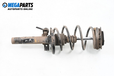 Macpherson shock absorber for Renault Megane II Grandtour (08.2003 - 08.2012), station wagon, position: front - right