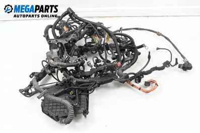 Wiring for BMW 7 Series F02 (02.2008 - 12.2015) 750 Li, 408 hp