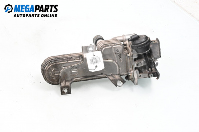 EGR kühler for Volkswagen Golf V Hatchback (10.2003 - 02.2009) 1.9 TDI, 90 hp