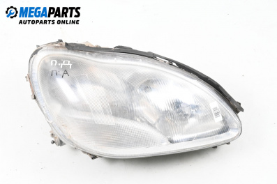 Headlight for Mercedes-Benz S-Class Sedan (W220) (10.1998 - 08.2005), sedan, position: right