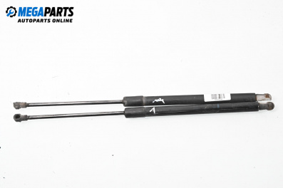 Stoßdämpfer heckklappe for Audi A4 Avant B7 (11.2004 - 06.2008)