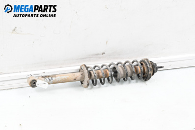 Macpherson shock absorber for Volkswagen Polo Variant (04.1997 - 09.2001), station wagon, position: rear - left