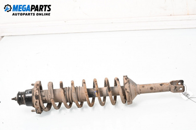 Shock absorber for Rover 600 Sedan (08.1993 - 10.2000), sedan, position: rear - right