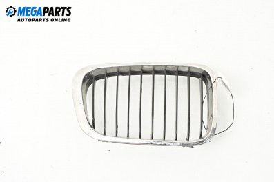 Gitter for BMW 3 Series E46 Sedan (02.1998 - 04.2005), sedan, position: vorderseite