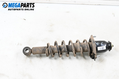MacPherson-federbein for Toyota Corolla E12 Hatchback (11.2001 - 02.2007), hecktür, position: rechts, rückseite