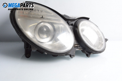 Headlight for Mercedes-Benz E-Class Estate (S211) (03.2003 - 07.2009), station wagon, position: right