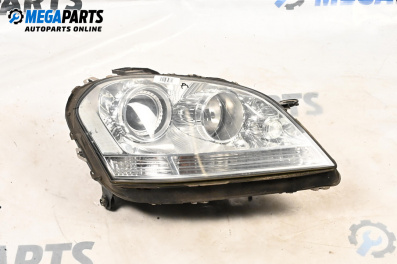 Headlight for Mercedes-Benz M-Class SUV (W164) (07.2005 - 12.2012), suv, position: right