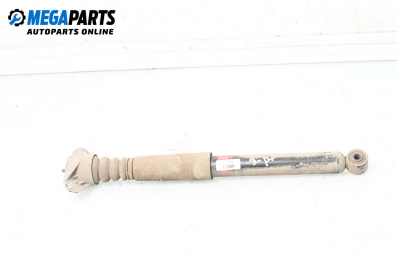 Dämpfer for Volkswagen Passat V Sedan B6 (03.2005 - 12.2010), sedan, position: rechts, rückseite