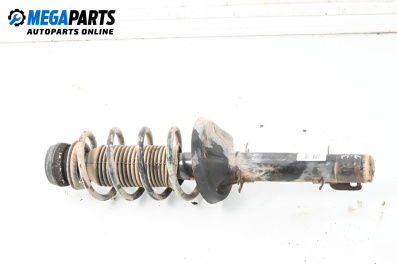 MacPherson-federbein for Seat Toledo II Sedan (10.1998 - 05.2006), sedan, position: links, vorderseite