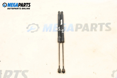 Stoßdämpfer heckklappe for Mercedes-Benz B-Class Hatchback I (03.2005 - 11.2011)
