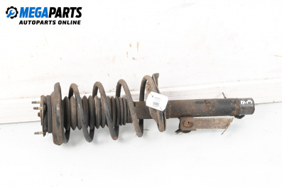 Macpherson shock absorber for Ford Focus I Hatchback (10.1998 - 12.2007), hatchback, position: front - right