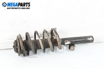 MacPherson-federbein for Citroen Xsara Picasso (09.1999 - 06.2012), hecktür, position: rechts, vorderseite