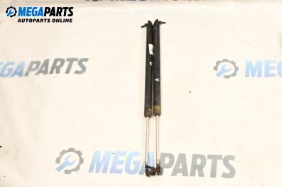 Tije telescopice, portbagaj for Chrysler Grand Voyager III (01.1995 - 03.2001)