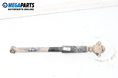 Amortizor for Volkswagen New Beetle Hatchback (01.1998 - 09.2010), hatchback, position: stânga - spate