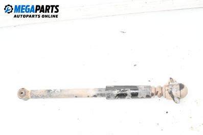 Amortizor for Volkswagen New Beetle Hatchback (01.1998 - 09.2010), hatchback, position: dreaptă - spate